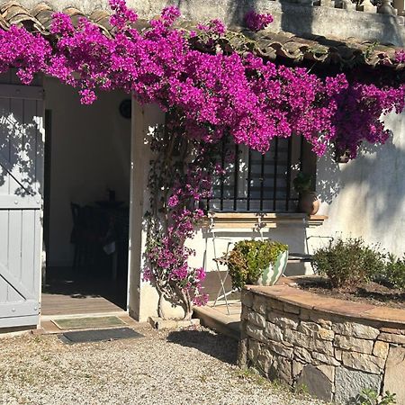 Apartamento Les Palmiers Fréjus Exterior foto
