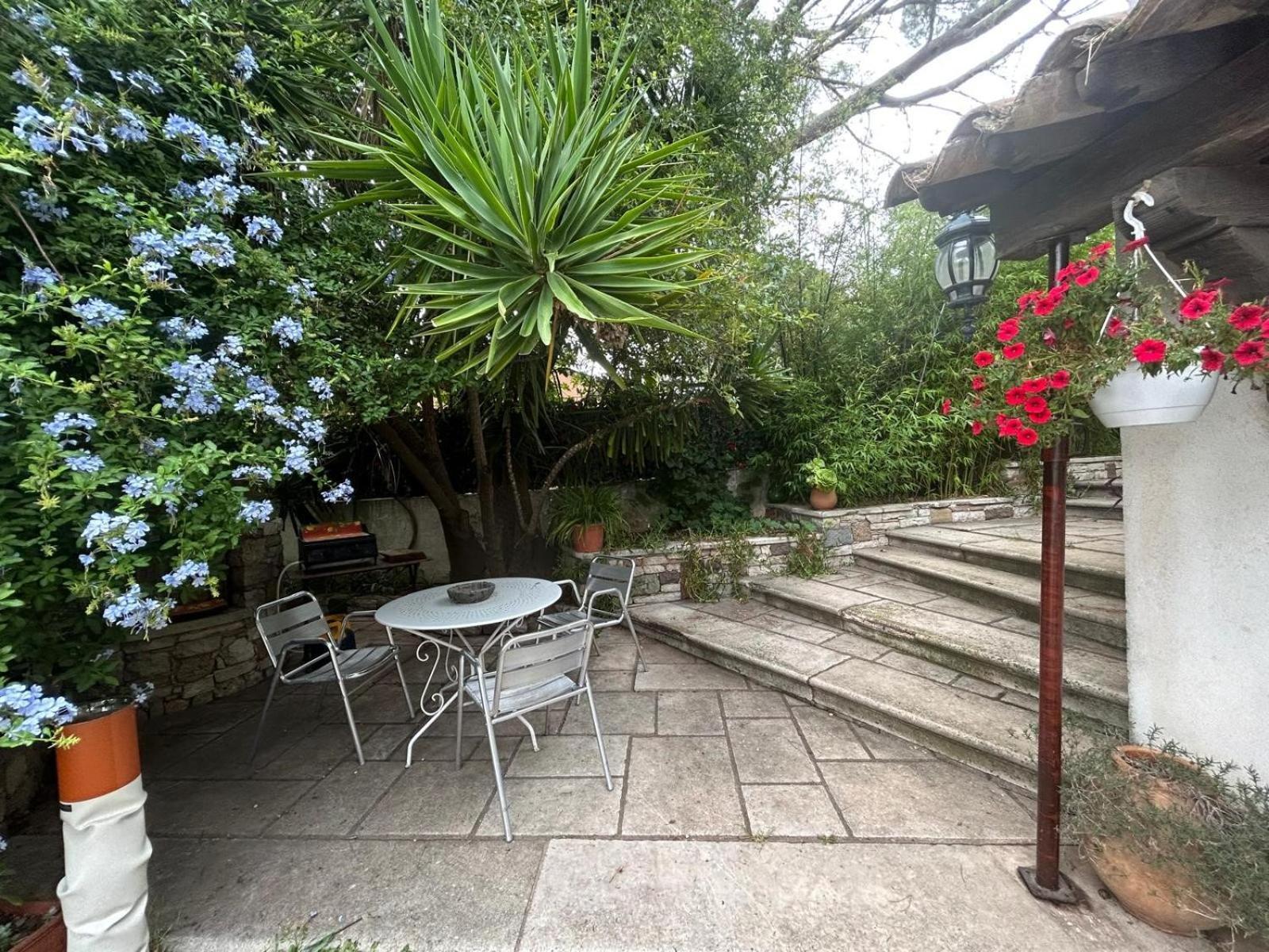 Apartamento Les Palmiers Fréjus Exterior foto